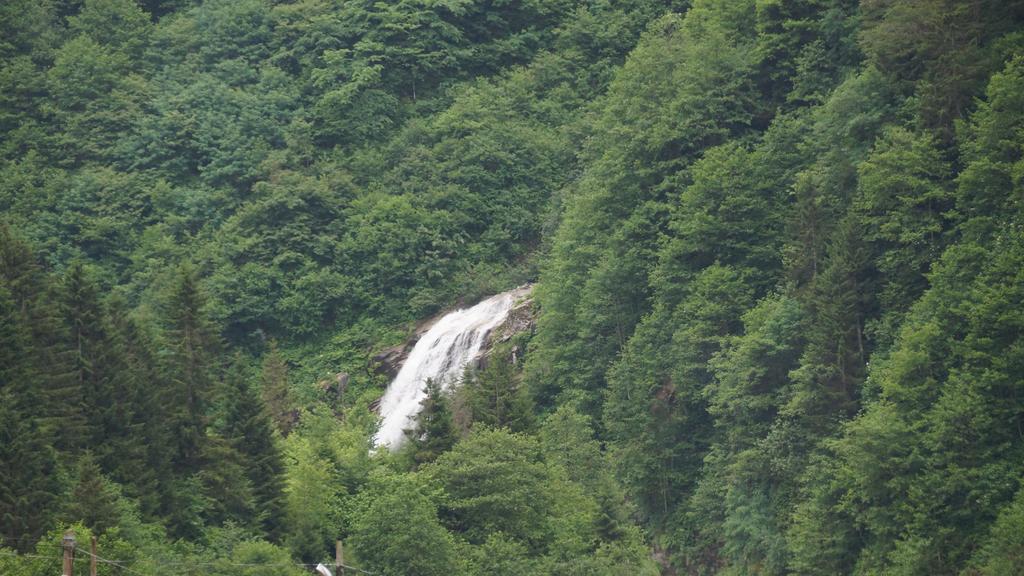 Ayder Resort Hotel Rize Exterior foto