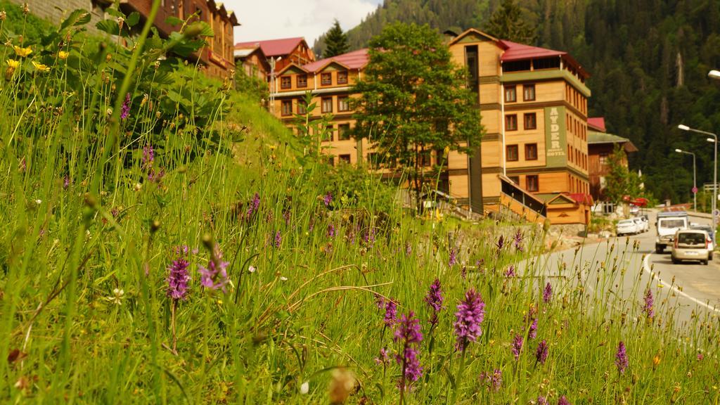 Ayder Resort Hotel Rize Exterior foto