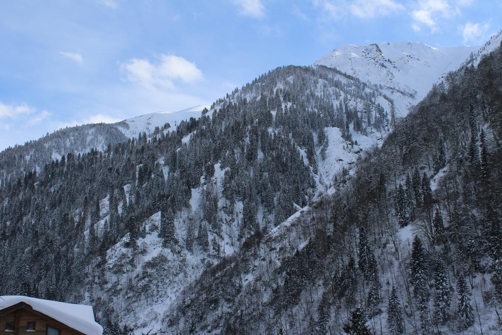 Ayder Resort Hotel Rize Exterior foto